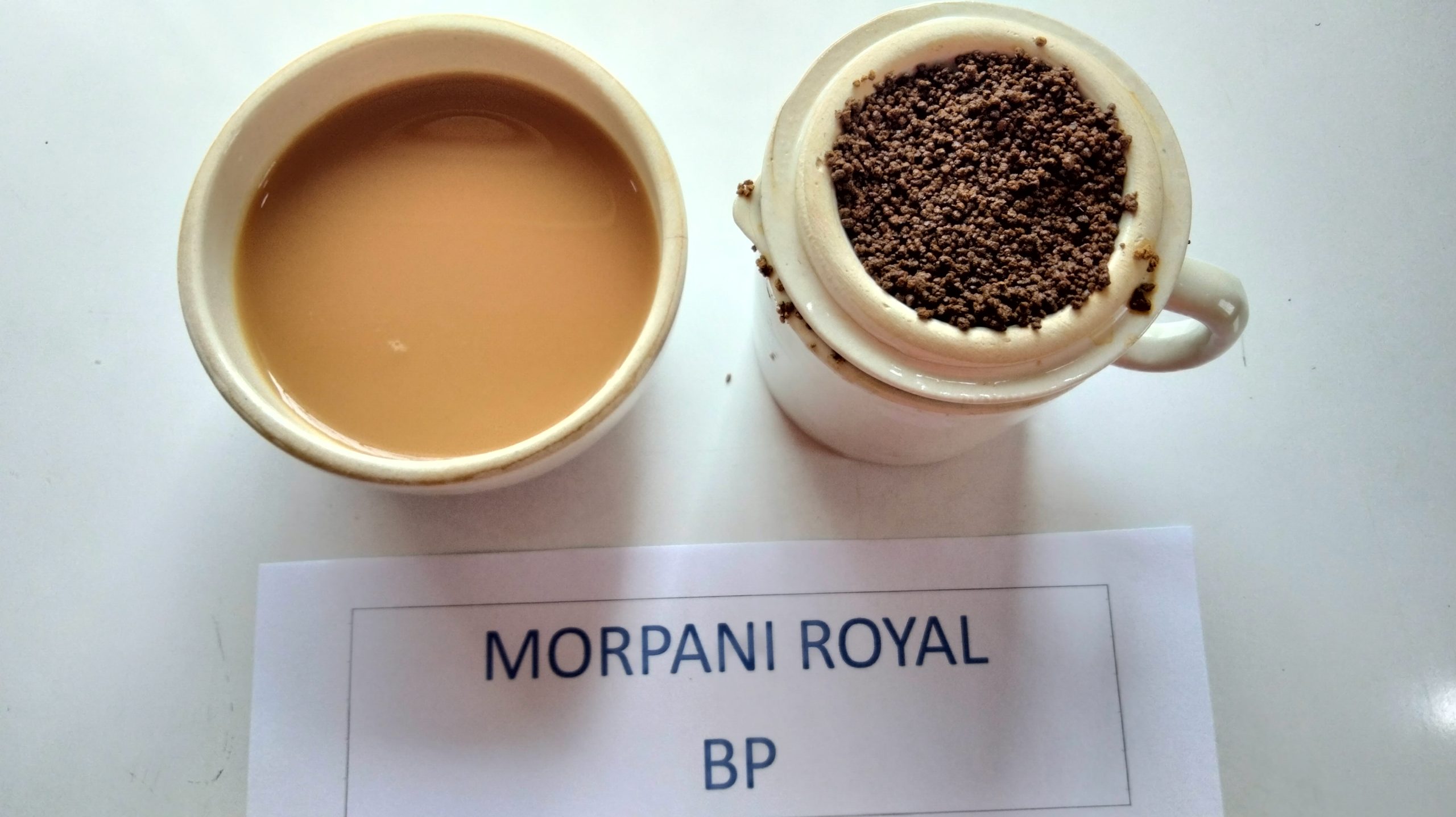 Read more about the article MORPANI-ROYAL (BP)