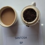 Read more about the article SANTOSH (BP)