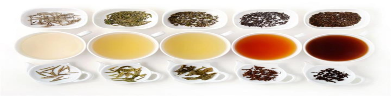 Read more about the article A Trusted Supplier of Premium Tea